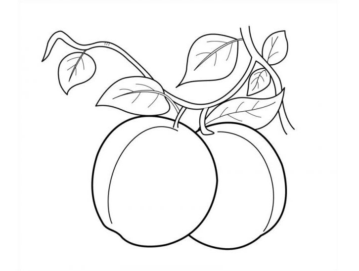 Vẽ trái cây để vẽ