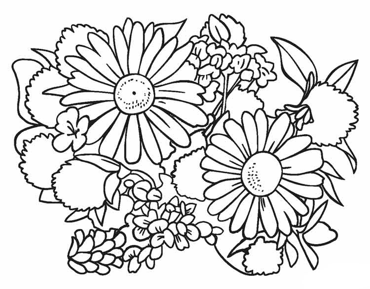 Flower coloring