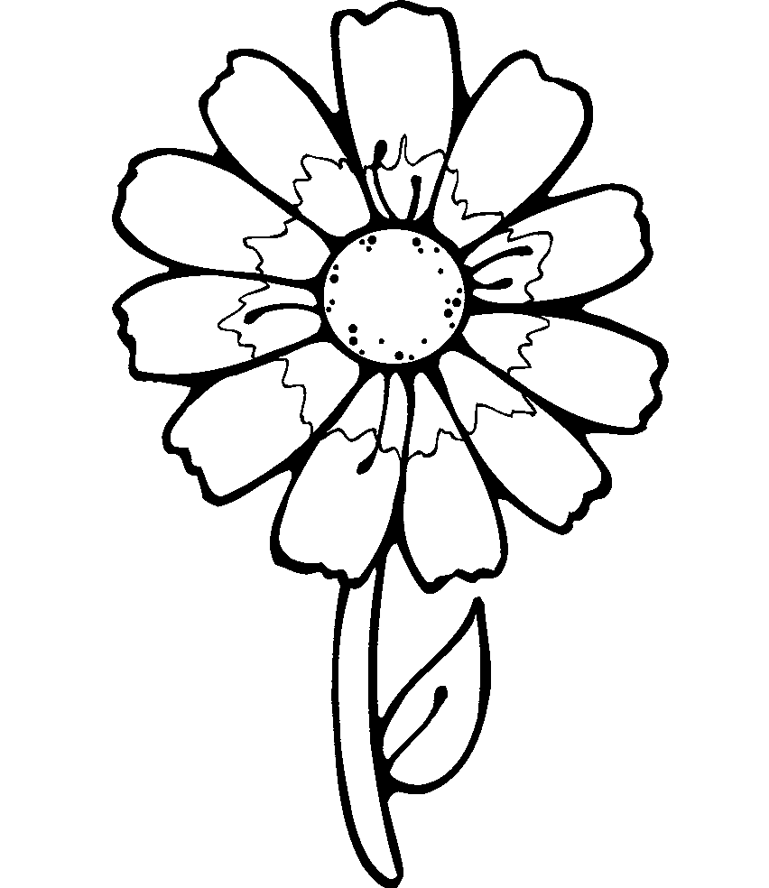 Flower coloring page for kids