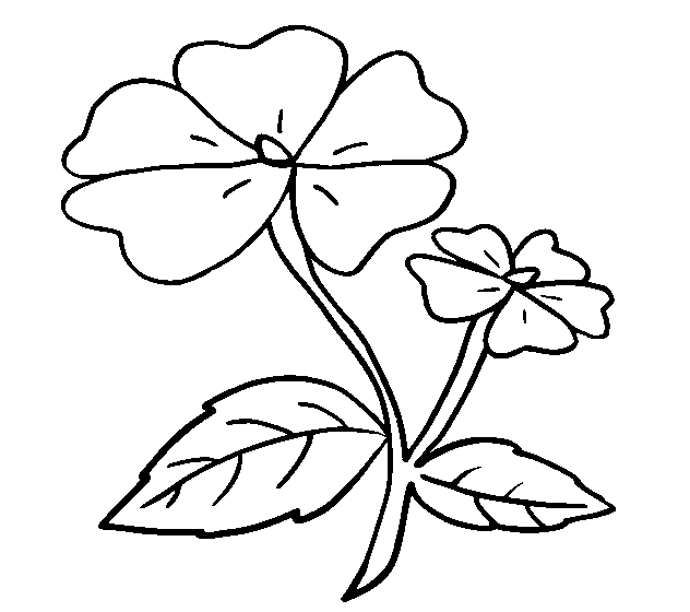 Beautiful flower coloring page