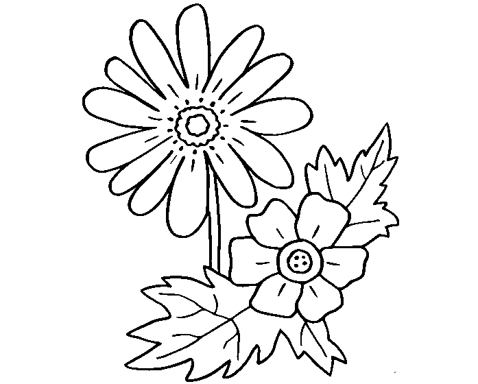 Hình tô màu bông hoa