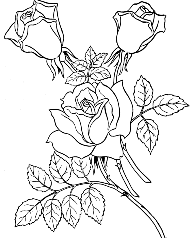 Coloring picture of pink branches for kids