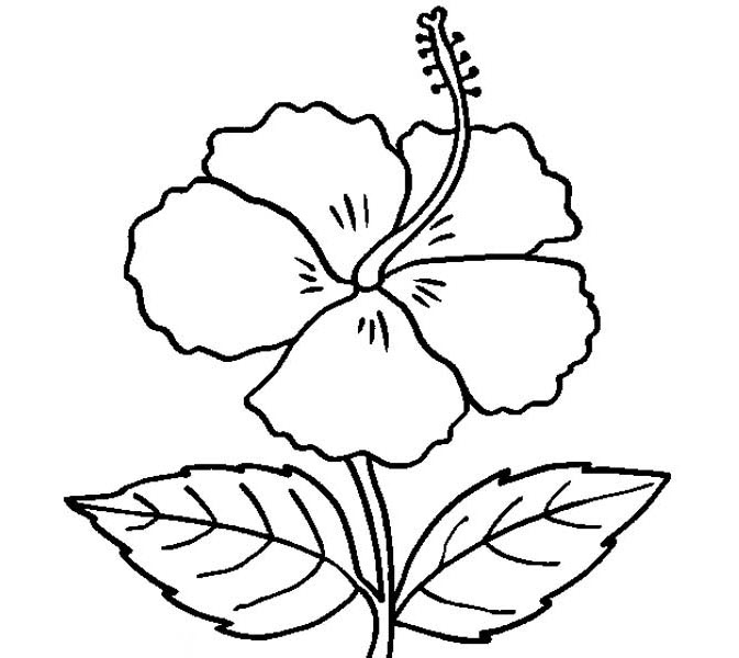 Coloring flowers for children to practice coloring