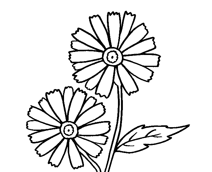 Coloring flowers