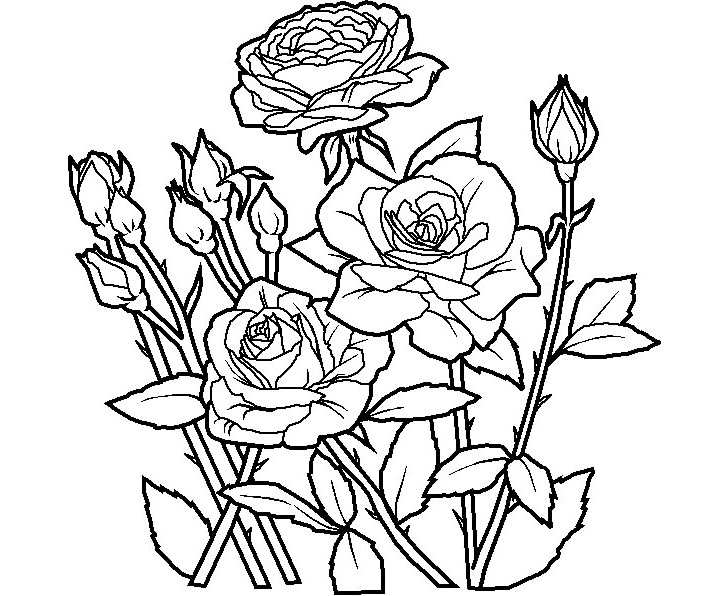 Flower bouquet coloring page
