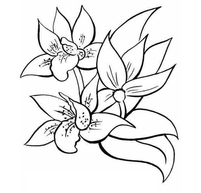Beautiful flower coloring pages for kids