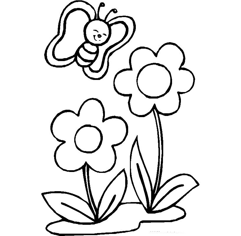 Beautiful butterfly and flower coloring page