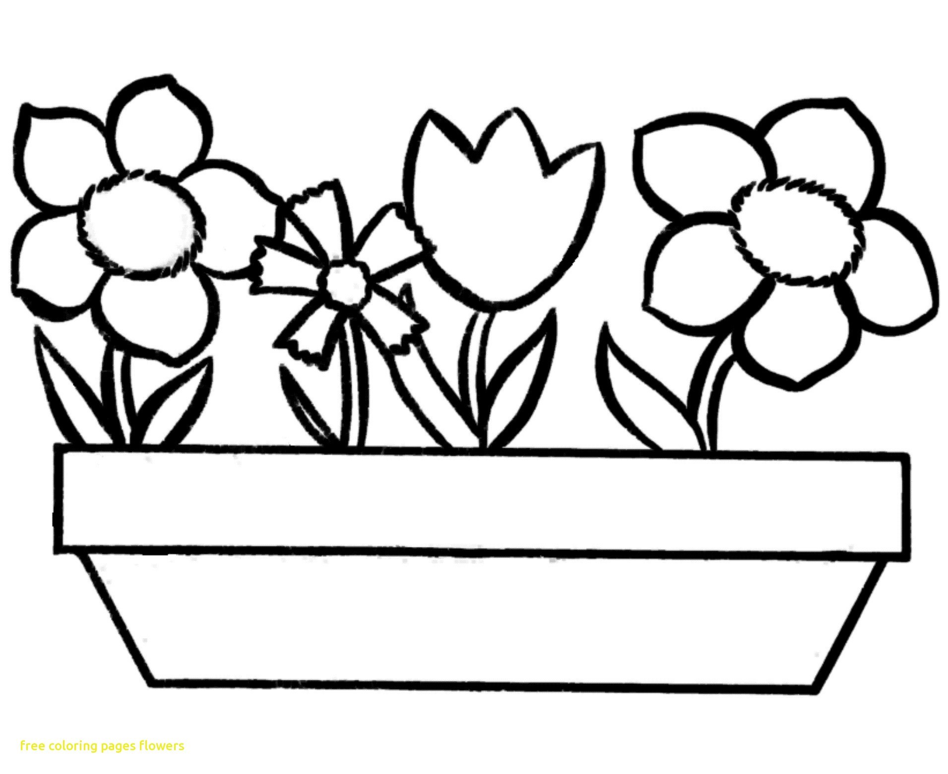 Coloring pictures of flowers
