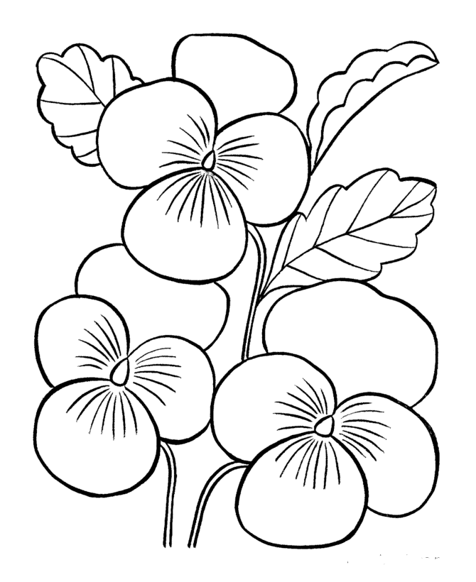 Coloring pictures with the theme of flowers