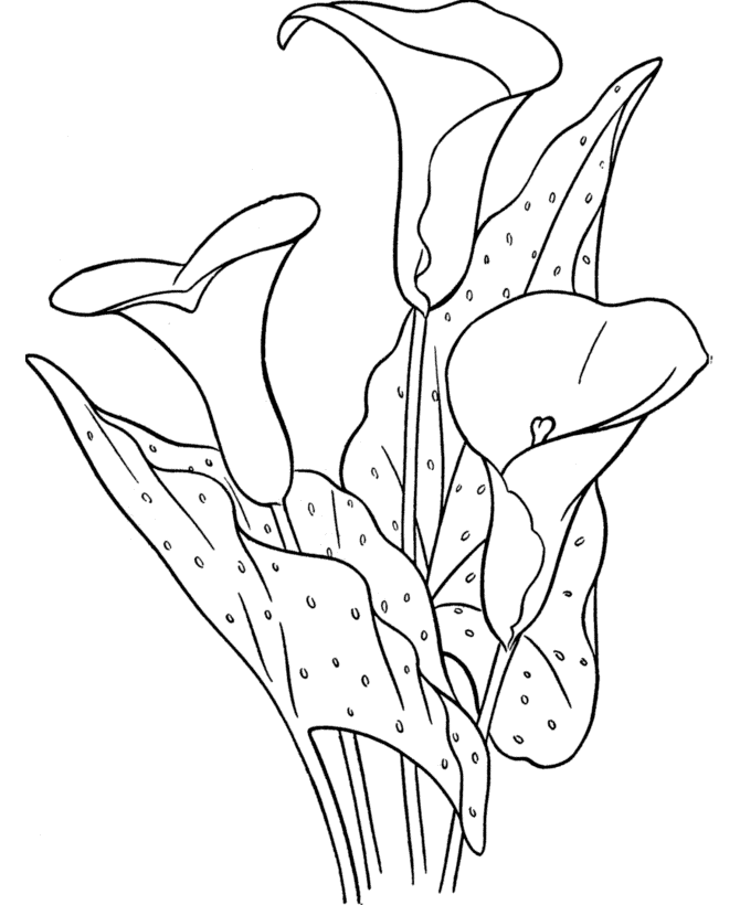 Flower themed coloring pages
