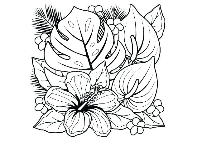 Flower coloring pages for kids 