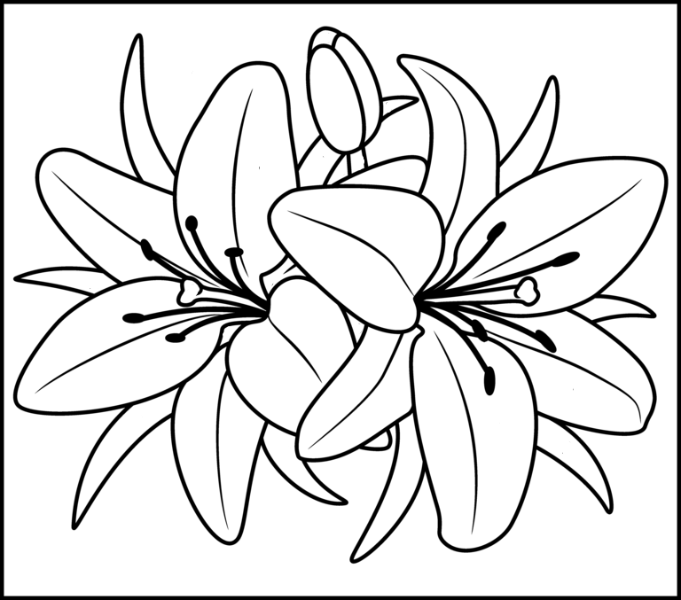 Flower coloring pages for kids