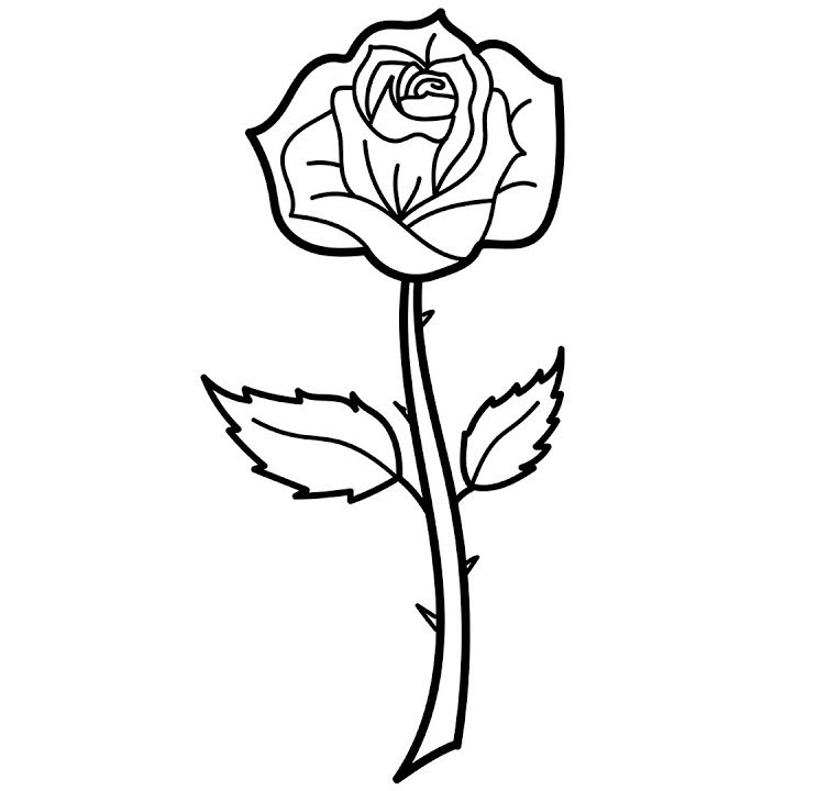 Tìm Hiểu Tranh tô màu hoa hồng đẹp nhất dành cho bé tập tô  Trường THPT  An Lạc Thôn