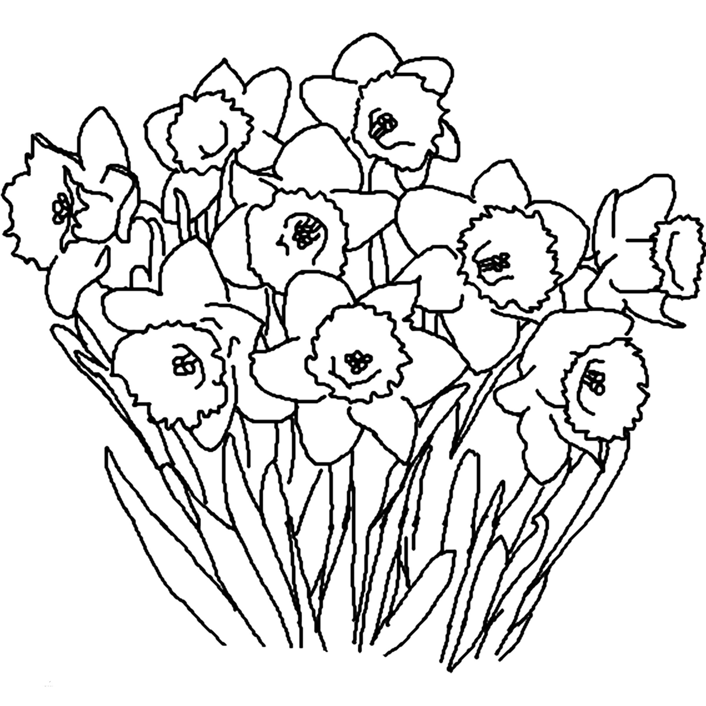 The most beautiful flowers coloring page