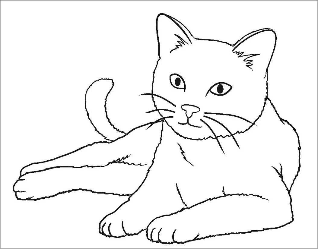 Tranh Tô Màu Con Mèo - Trần Hưng Đạo