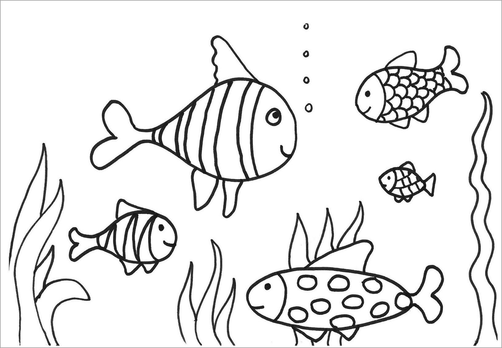 Chi tiết 58 về hình tô màu con cá hay nhất  cdgdbentreeduvn