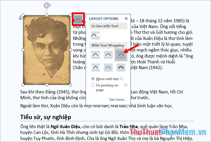 Chọn biểu tượng Layout Options - chọn vị trí cho ảnh