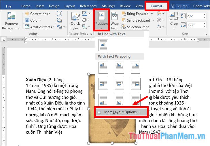 Chọn Format - Position - More Layout Options