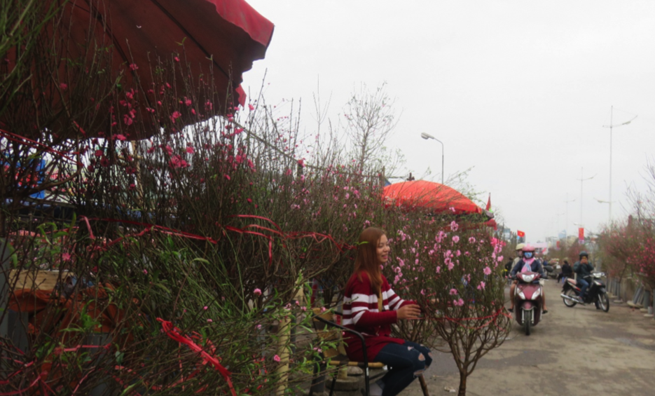 Địa điểm bán hoa đào ngày tết ở việt nam