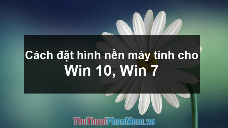 Những hình nền đẹp cho máy tính win 7 bạn không thể bỏ qua