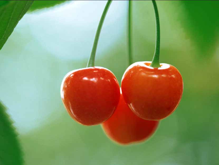 Hình ảnh 3 quả cherry chín đẹp