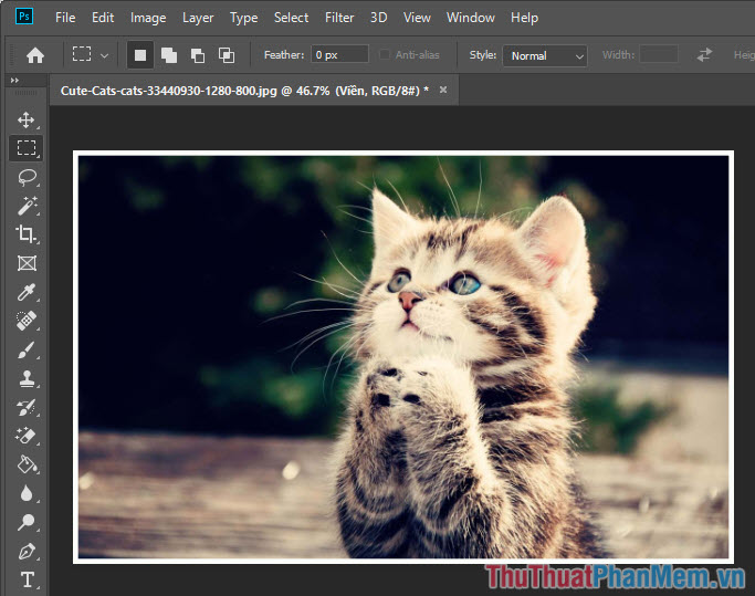 Cách tạo viền cho ảnh trong Photoshop