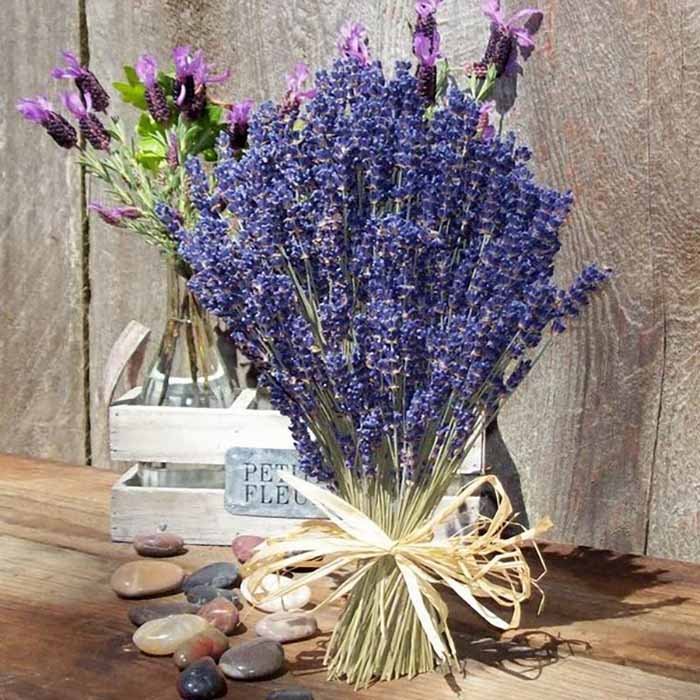 Hoa Oải Hương khô (Lavender)