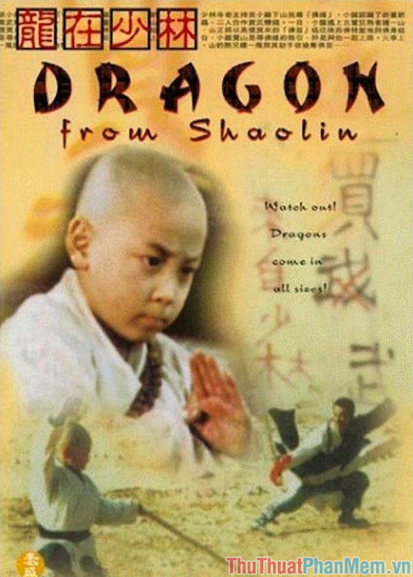 Dragon from Shaolin – Rồng thiếu lâm (1996)