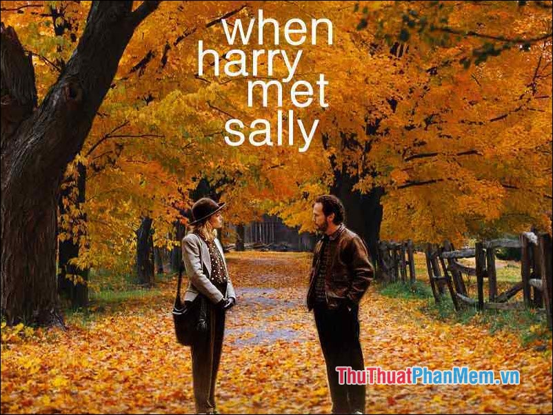 When Harry Met Sally – Khi Harry gặp Sally