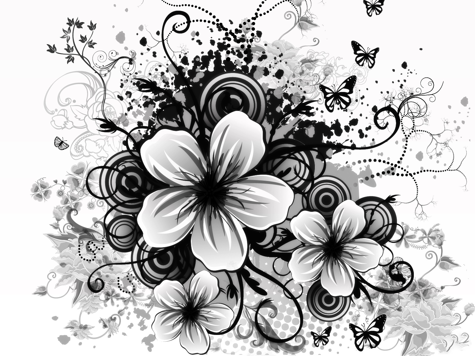 Hình nền hoa trắng đen đẹp