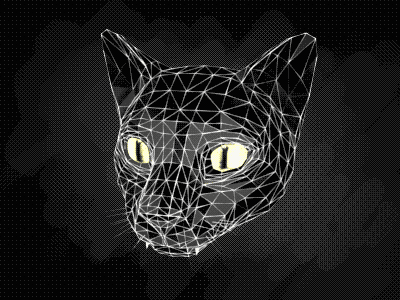 Hình 3D Mèo đen lập thể