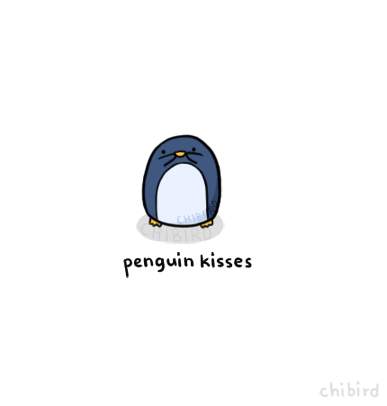 Xin chào tôi là con chim cánh cụt và đây là nụ hôn danh cho bạn