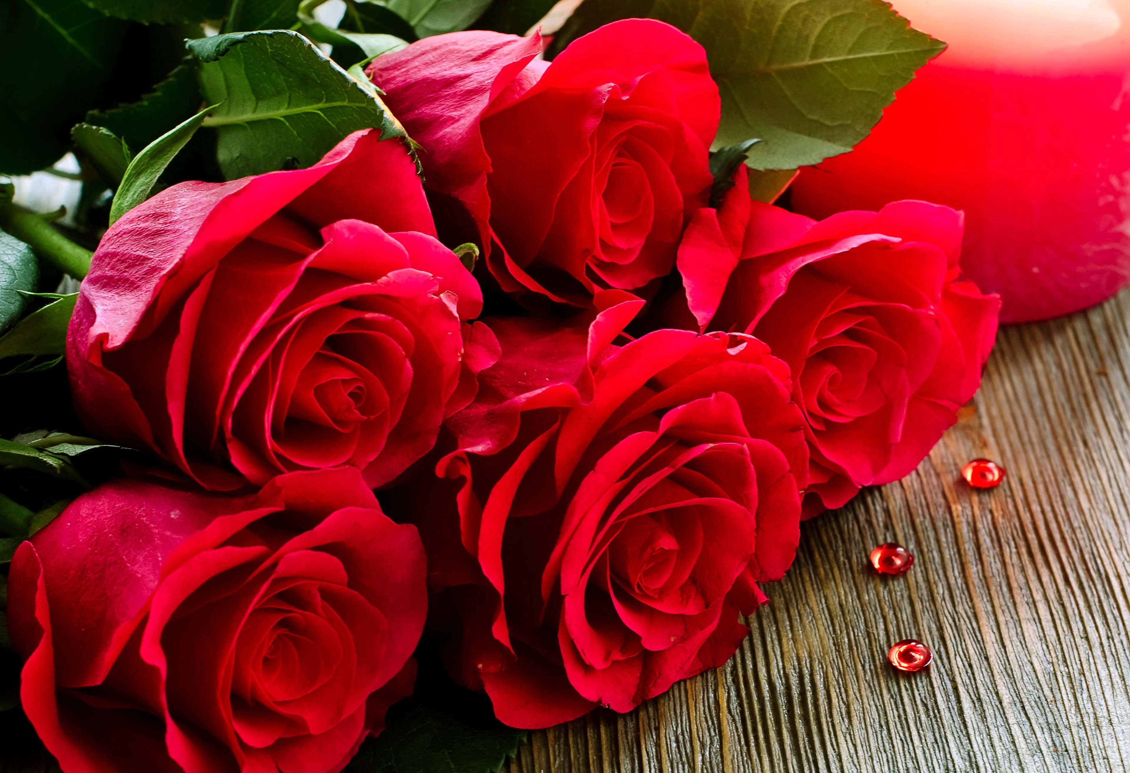 Hình ảnh đẹp về hoa hồng đỏ