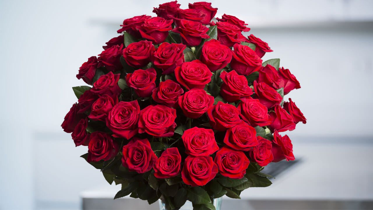 Hình bó hoa hồng đỏ đẹp