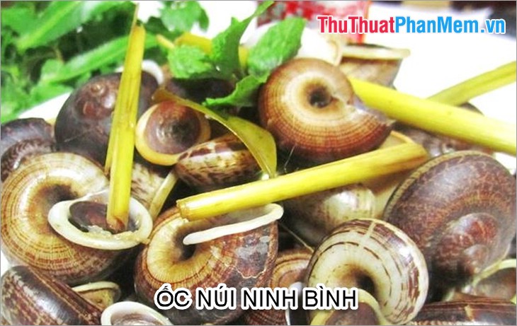 Đặc sản Ninh Bình - Những món ăn đặc sản Ninh Bình làm quà ngon nhất