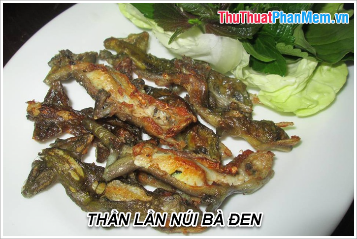 Đặc sản Tây Ninh - Những món ăn đặc sản Tây Ninh làm quà ngon nhất