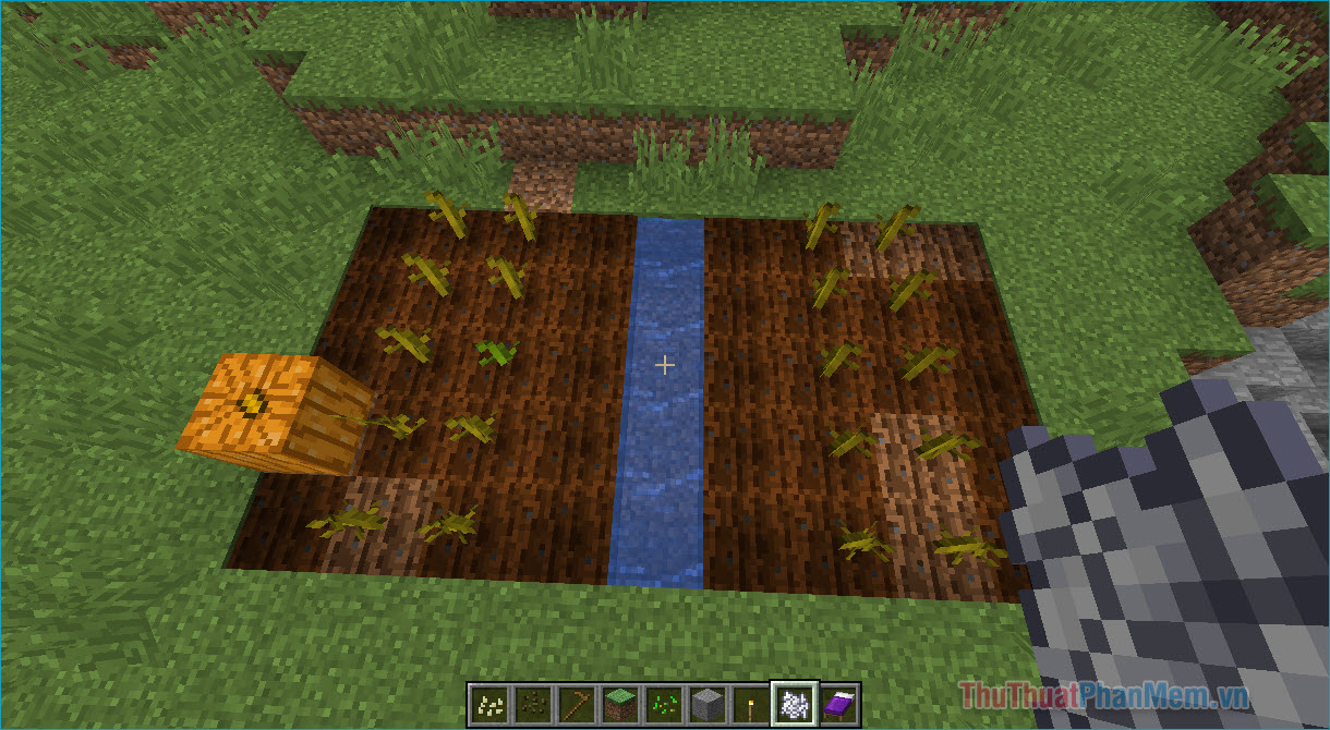 Hướng dẫn trồng cây trong Minecraft