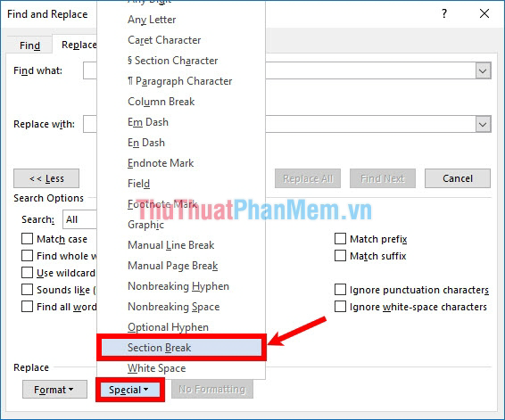 Chọn Special - Section Break
