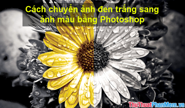 Chuyển ảnh đen trắng sang màu Photoshop: Với kỹ thuật chuyển ảnh đen trắng sang màu bằng Photoshop, bạn sẽ có những bức ảnh màu sắc đẹp nhất với chi phí cực thấp. Việc chuyển đổi không chỉ đơn thuần là việc sử dụng công cụ cảm ứng, mà còn phải nắm rõ kỹ thuật và cảm nhận sâu sắc để tạo được bức ảnh đẹp nhất.