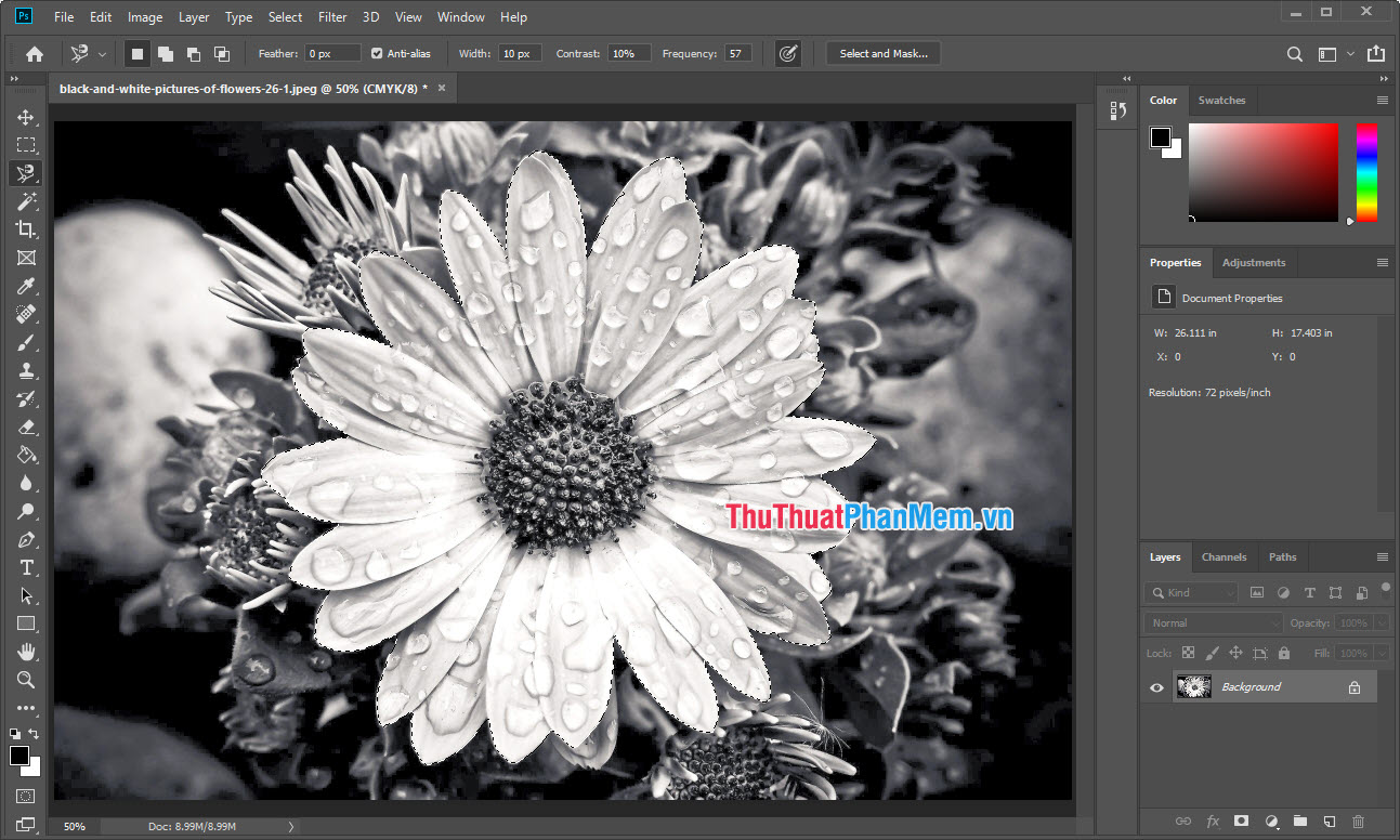 Chuyển đen trắng sang màu bằng Photoshop - Bạn đã bao giờ muốn truyền tải sự cảm xúc của mình thông qua bức ảnh đen trắng? Nhưng trong khi đó, bạn lại muốn tạo ra những bức ảnh đầy màu sắc để hình ảnh trở nên sống động hơn? Hãy xem ngay video hướng dẫn chuyển đen trắng sang màu bằng Photoshop để tìm hiểu thêm về cách làm điều đó.